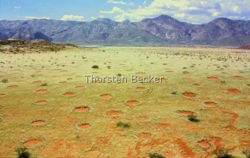 File:Fairy circles.jpg