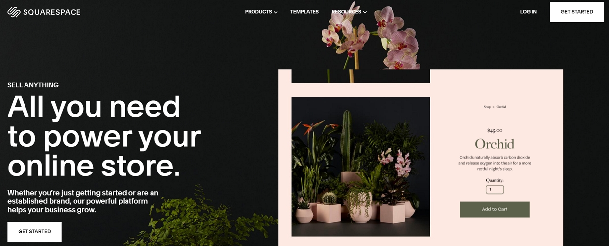 Squarespace homepage