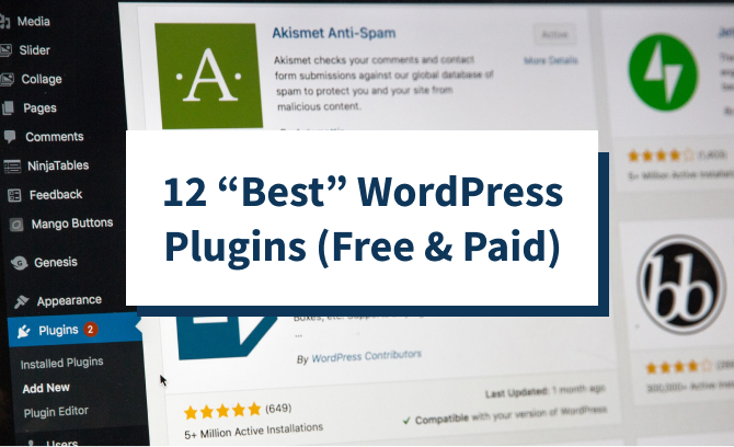 12 “Best” WordPress Plugins (Free & Paid)