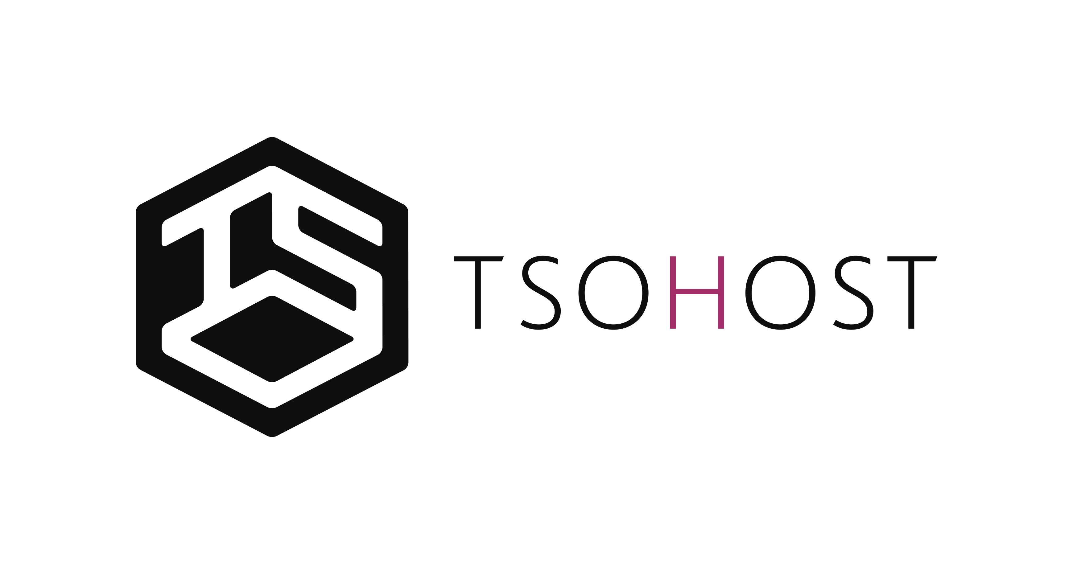 TsoHost logo