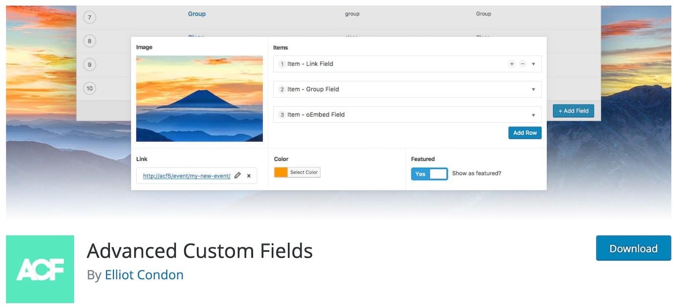 WordPress plugins for custom fields: Advanced Custom Fields