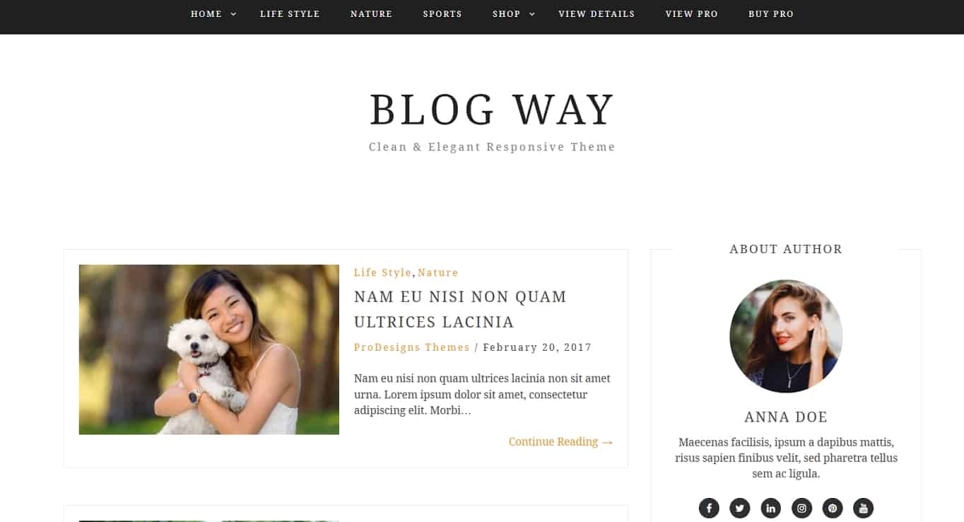 Blog Way Free WordPress Theme