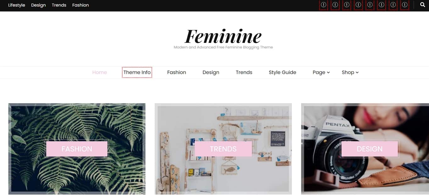 Blossom Feminine Free WordPress Theme