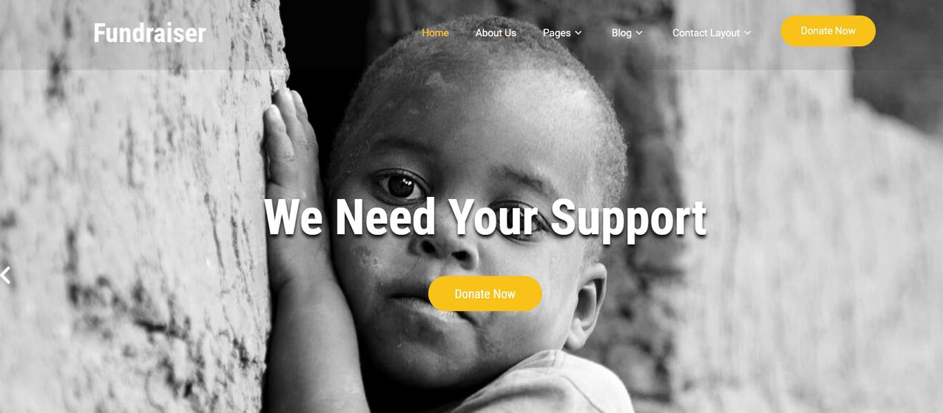 Fundraiser Lite Free WordPress Theme