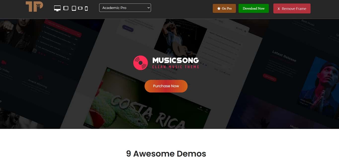 Musicsong Free WordPress Theme