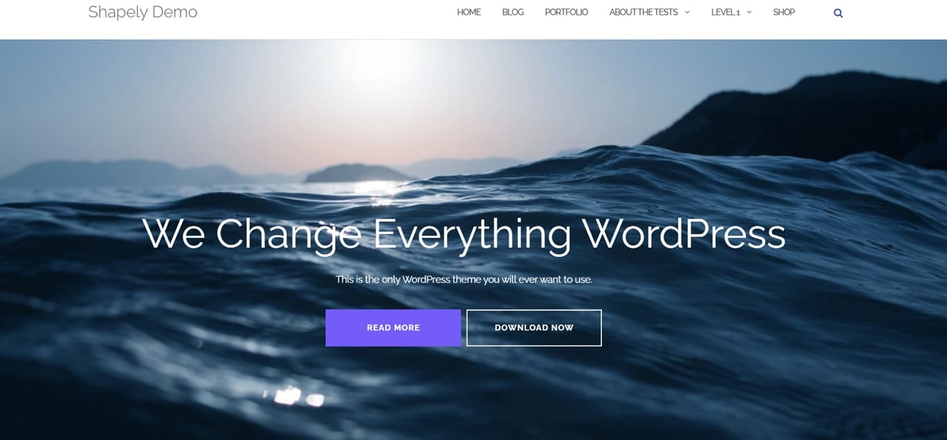 Shapely Free WordPress Theme